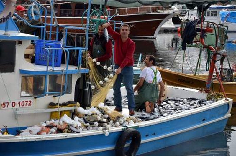 TEKNELER PALAMUTLA DOLDU TAŞTI (videolu)