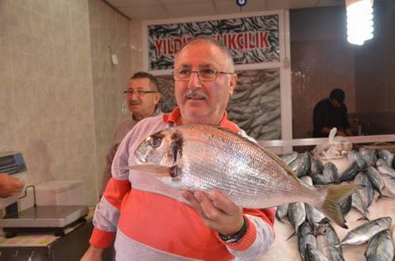 SİNOP'TA ÇIKAN ÇİPURA UMUTLANDIRIYOR