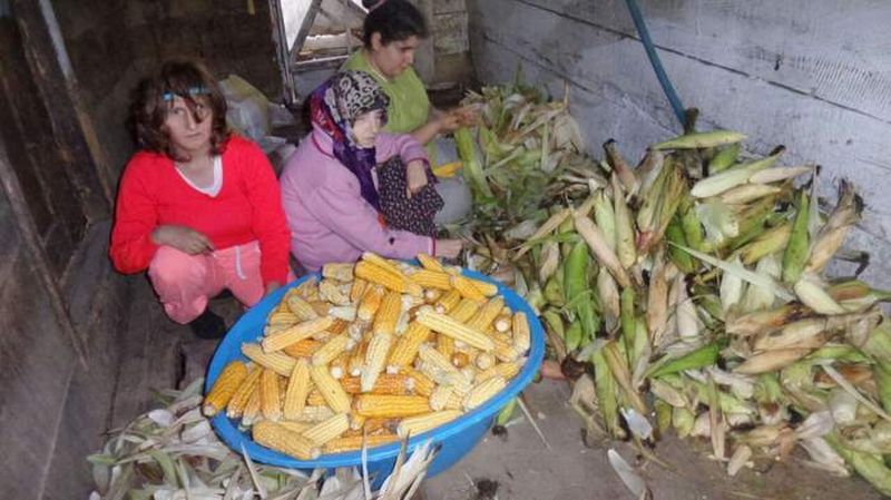 SİNOP’TA KIŞ HAZIRLIKLARI BAŞLADI