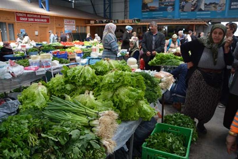 SİNOP’LU ÇİFTÇİLER FİDE KONUSUNDA BİLİNÇSİZ