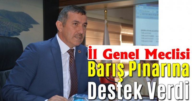 Sinop İl Genel Meclisi, 'Barış Pınarı Harekâtına’ destek verdi
