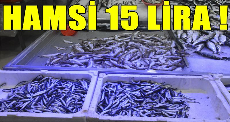 HAMSİ 15 LİRA
