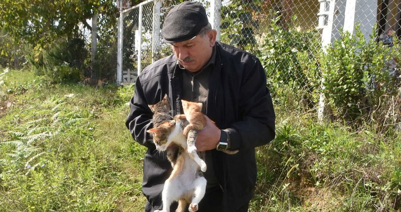 KÖYE BIRAKILAN KEDİLER SİNOP BELEDİYESİNE TESLİM EDİLDİ