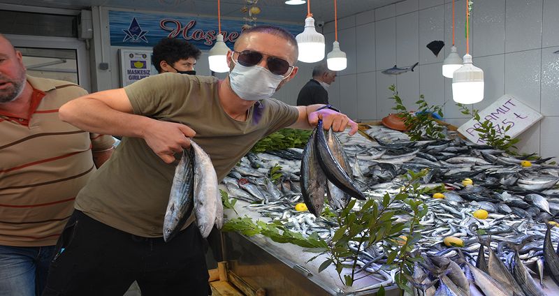 Sinop’ta 2 liraya palamut