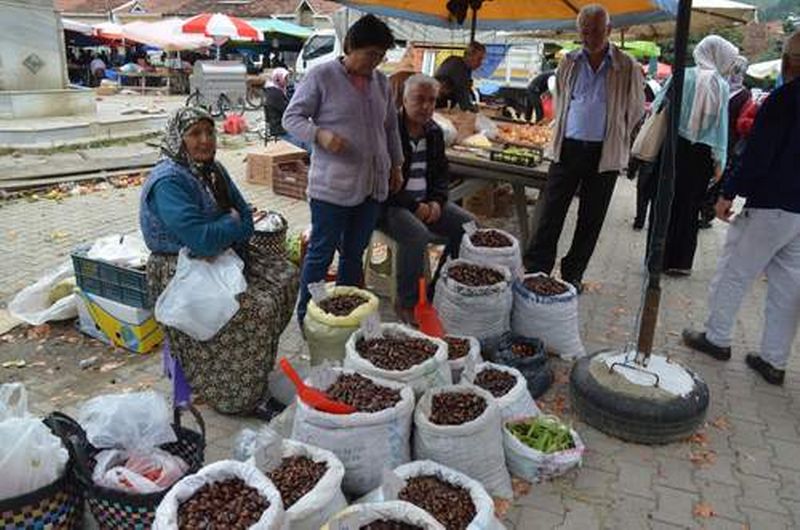 ‘KUZU KESTANESİ’ KAPIŞ KAPIŞ GİDİYOR