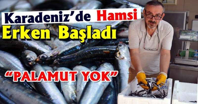 Karadeniz’de hamsi erken başladı