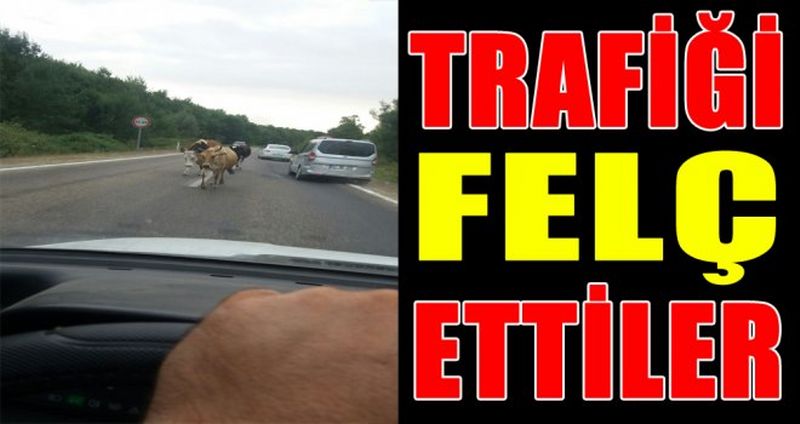Trafiği Felç Ettiler
