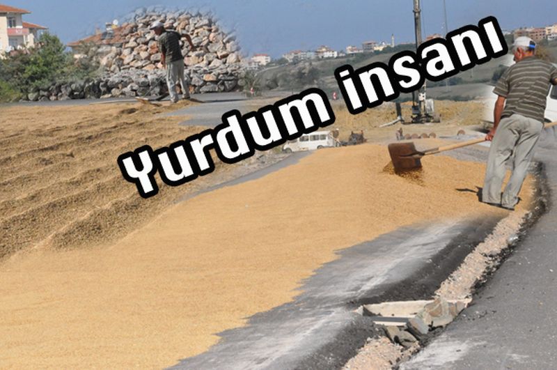 Yurdum İnsanı