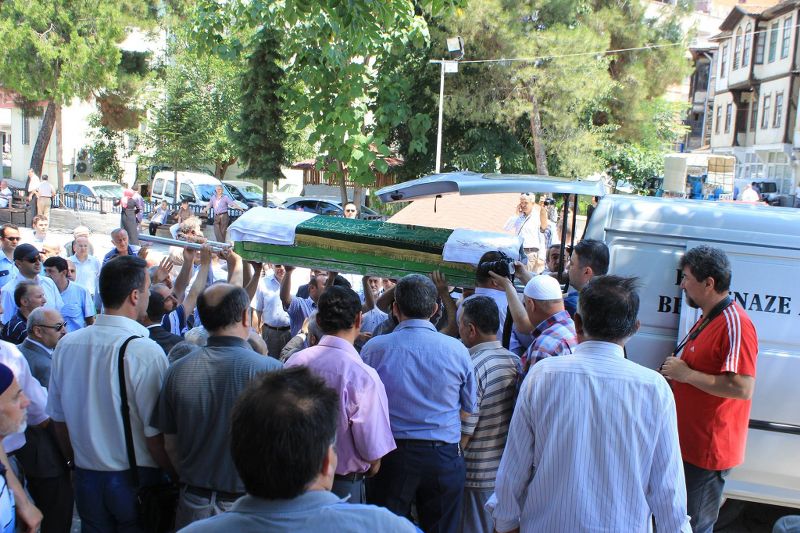 BİR ÇINAR DAHA DEVRİLDİ