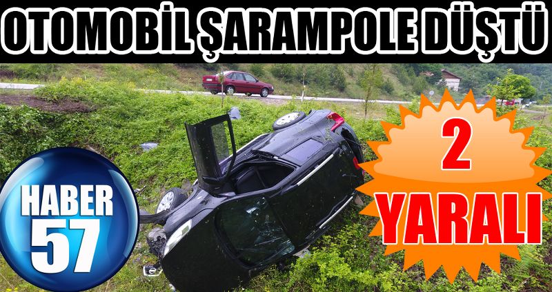 Otomobil Şarampole Düştü:2 Yaralı