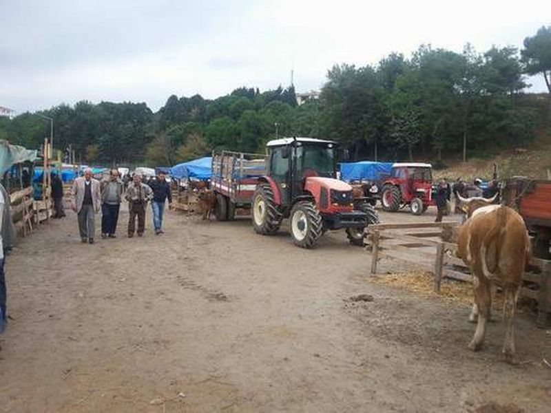 SİNOP’TA KURBAN PAZARI AÇILDI