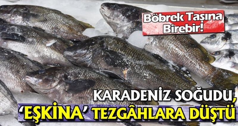 KARADENİZ SOĞUDU, ‘EŞKİNA’ TEZGÂHLARA DÜŞTÜ