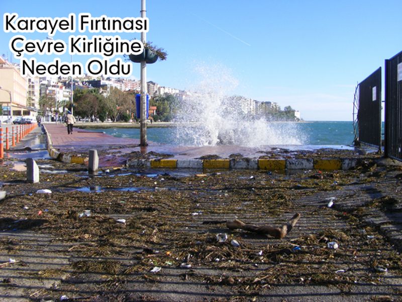 Karayel Fırtınası Çevre Kirliğine Neden Oldu