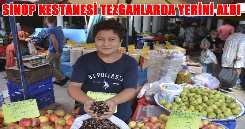 SİNOP KESTANESİ TEZGAHLARDA YERİNİ ALDI