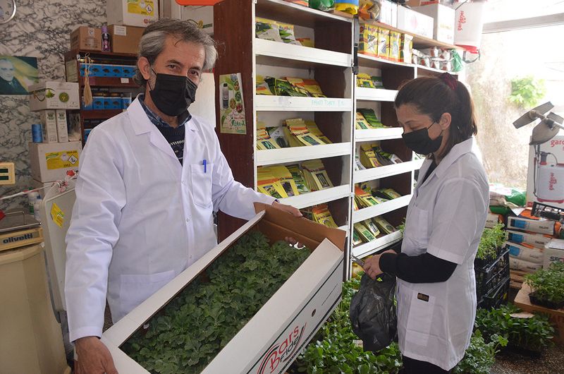 Sinop’ta pandemi sebze fidesi satışlarını patlattı