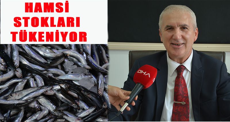 HAMSİ STOKLARI TÜKENİYOR