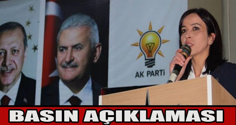 "Ak parti Sinop Kadın Kolları'ndan Basın Açıklaması"