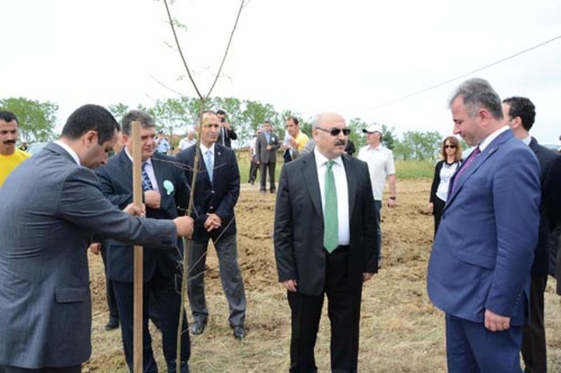 301 MADENCİYE 301 FİDAN