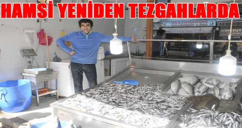 HAMSİ YENİDEN TEZGAHLARDA