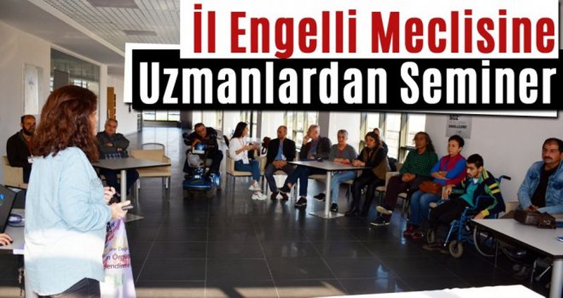 Sinop’ta İl Engelli Meclisi Eğitim Semineri Verildi