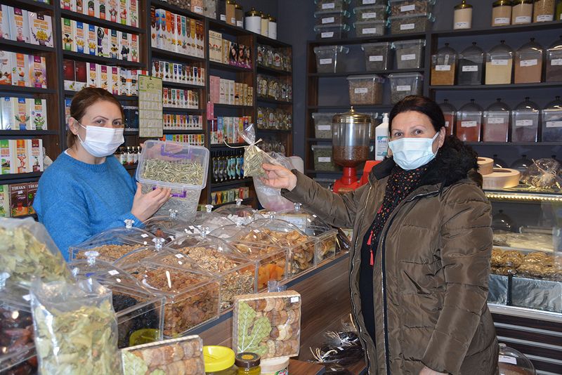 Sinop’ta zeytin yaprağı satışı patladı