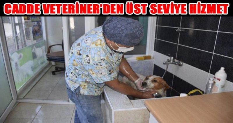 CADDE VETERİNLER’DEN ÜST SEVİYE HİZMET