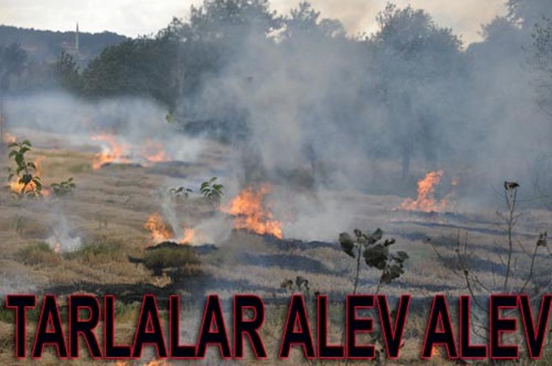 Anız Yangınları Doğayı Tehdit Ediyor