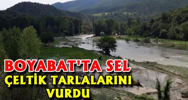 BOYABAT'TA SEL ÇELTİK TARLALARINI VURDU