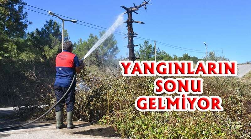 Sinop’ta yangınlar bu kaçıncı dedirtti!