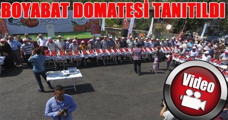 BOYABAT DOMATESİ TANITILDI
