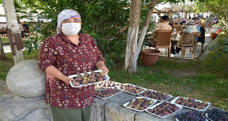 Bahçesinde yetişen meyvaları satarak ev ekonomisine katkı sağlıyor