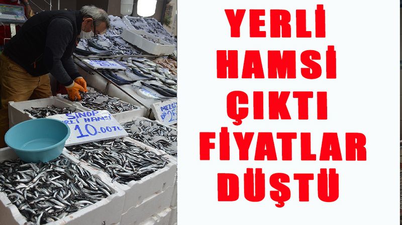 YERLİ HAMSİ ÇIKTI FİYATLAR DÜŞTÜ