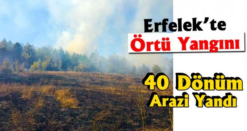 Erfelek’te Örtü Yangını