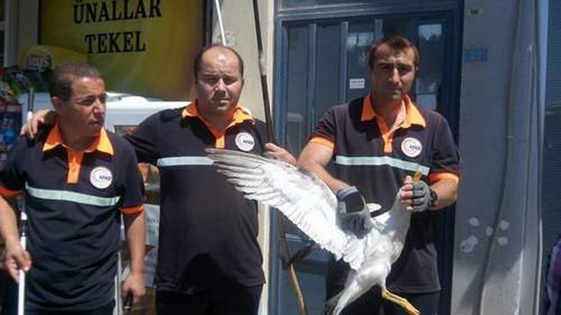 DENİZE HASRET KALDI!