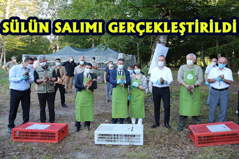 Vali Erol Karaömeroğlu, Doğaya Sülün Salma Programına Katıldı