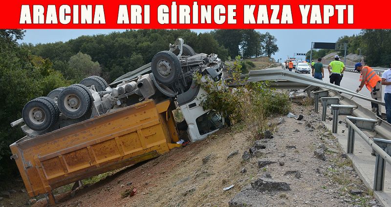 ARACINA ARI GİRİNCE KAZA YAPTI