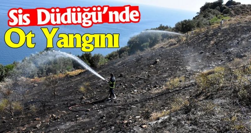 Sinop’ta ot yangını