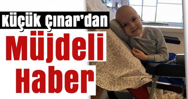 Minik Çınar’a Kök Hücre Bulundu