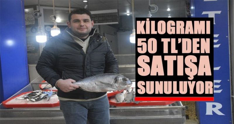 2 KİLOGRAMLIK ÇİPURA 100 TL’DEN SATILIYOR