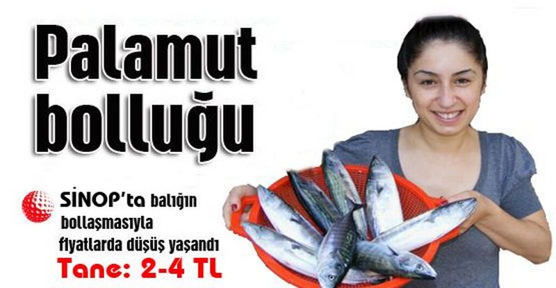 SİNOP'TA PALAMUT BEREKETİ