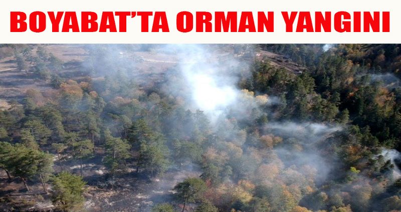 BOYABAT'TA ORMAN YANGINI