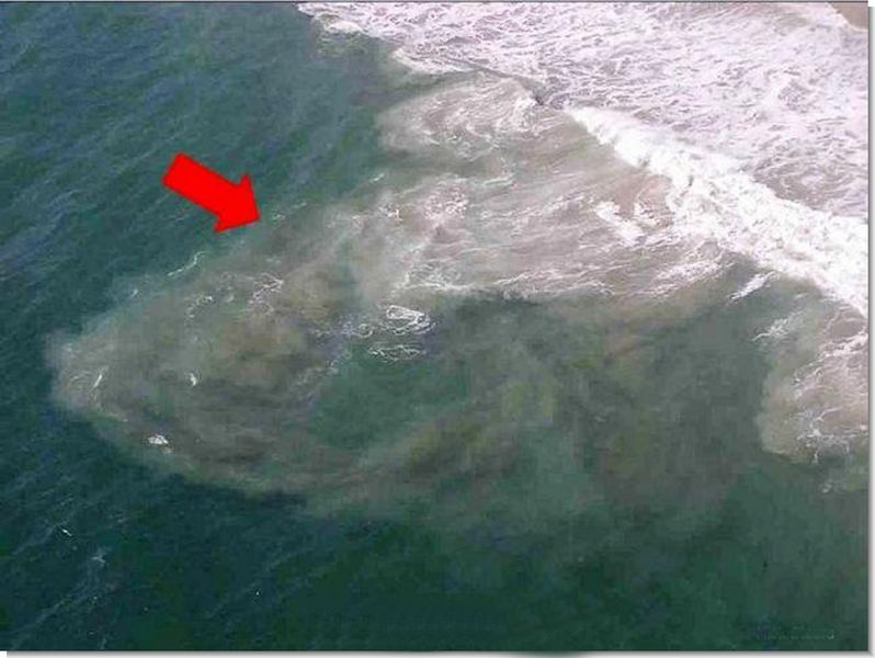 DENİZDEKİ TEHLİKELERE KARŞI EMNİYET