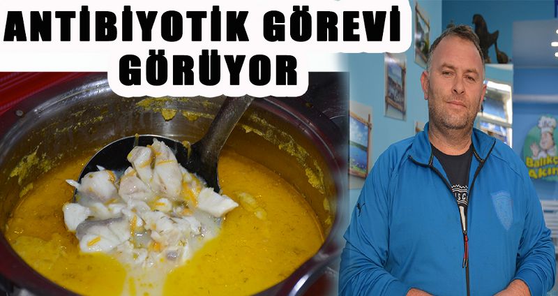 ANTİBİYOTİK GÖREVİ GÖRÜYOR