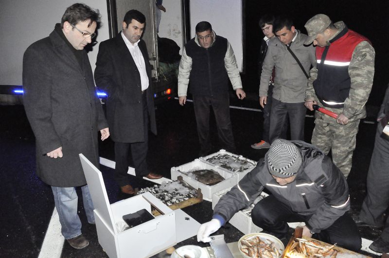 İl Gıda Tarım ve Hayvancılık Müdürlüğü Su Ürünleri İle İlgili Sıkı Denetimlere Devam Ediyor