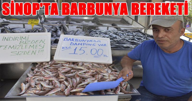 SİNOP'TA BARBUNYA BEREKETİ