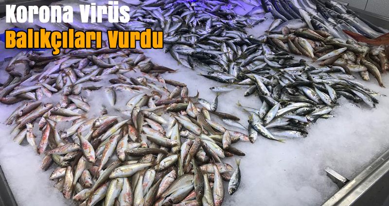 Korona Virüs Balıkçıları Vurdu