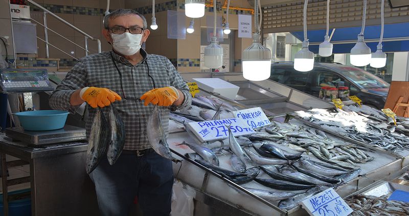 Sinop’ta palamut küstü fiyatlar uçtu