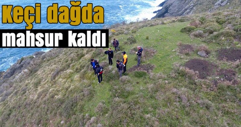 Keçi dağda mahsur kaldı