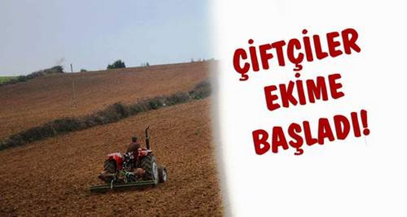 BUĞDAY EKİMİNE BAŞLANDI