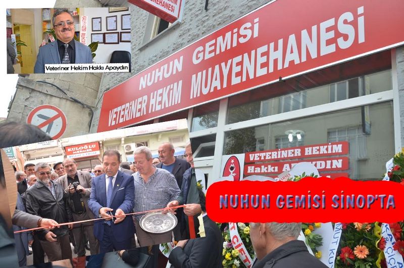 NUH'UN GEMİSİ SİNOP'A GELDİ